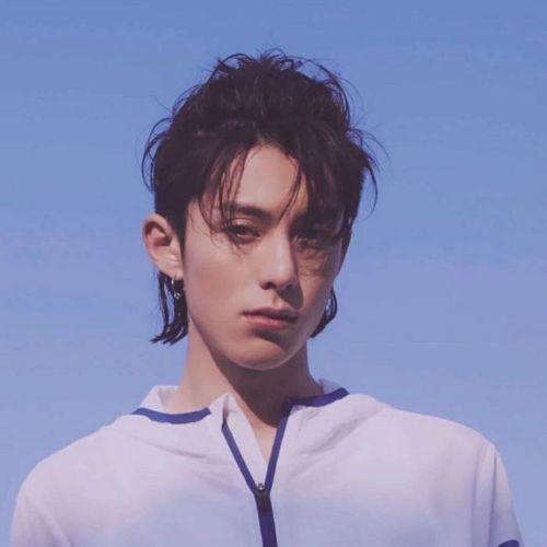 狗崽爆料王鹤棣视频大全,王鹤棣视频大全，揭秘明星幕后生活